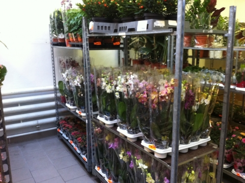 Veľkoobchod s kvetmi
