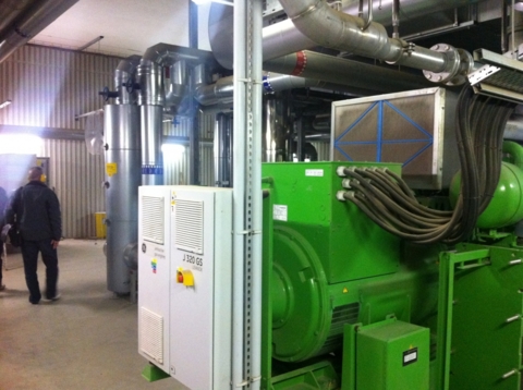 Kogeneračná stanica, Detva-2