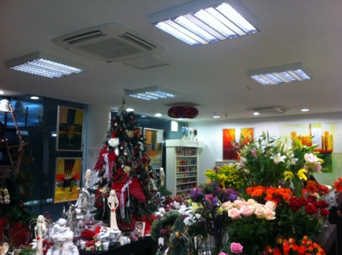 Galéria Kvetín, Crystal Palace Žilina-3