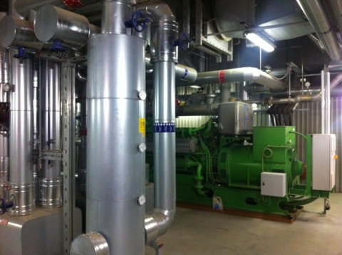 Kogeneračná stanica, Detva