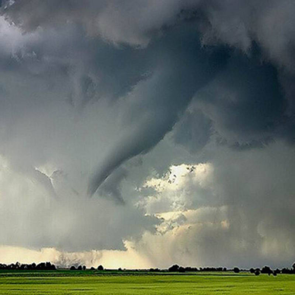 Inžinieri a dizajnéri klimatizácie sa inšpirujú aj prírodou