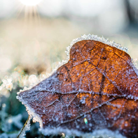 Štartuje vykurovacia sezóna. Už ste sa pripravili?