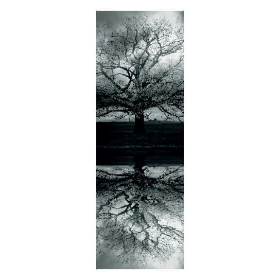 ISAN Variant Photo P05