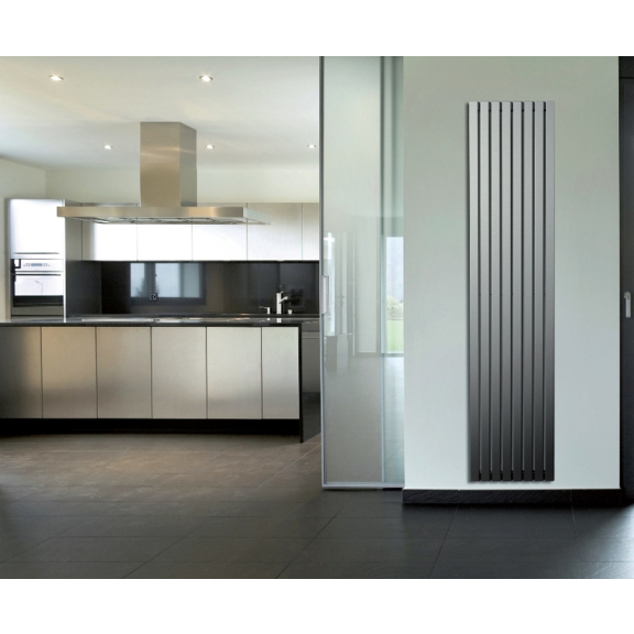 ISAN Form Inox nerezový radiátor