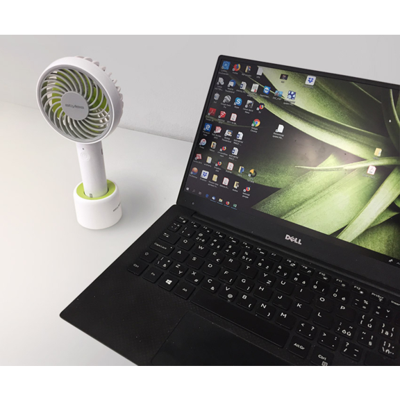 Stylies lacerta ventilátor